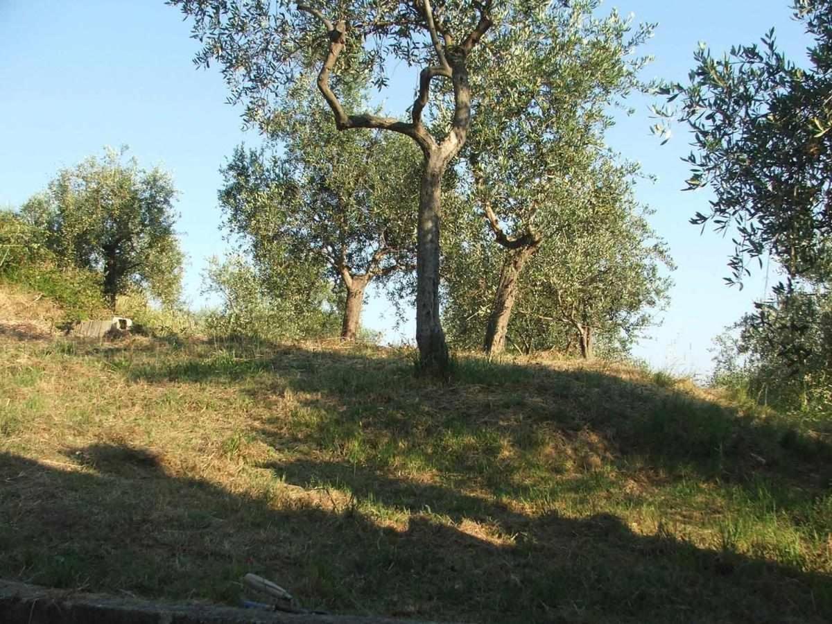 La Casetta Di Sofia Moneglia Zewnętrze zdjęcie